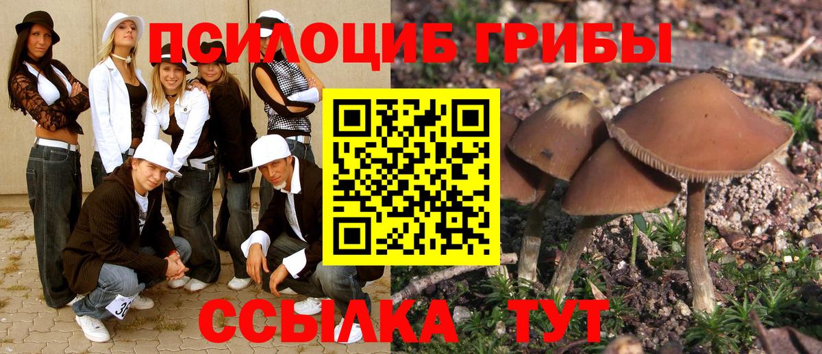 Галлюциногенные грибы Magic Shrooms  Вход с VPN  Псилоцибиновые грибы Psilocybe  Дедовск 